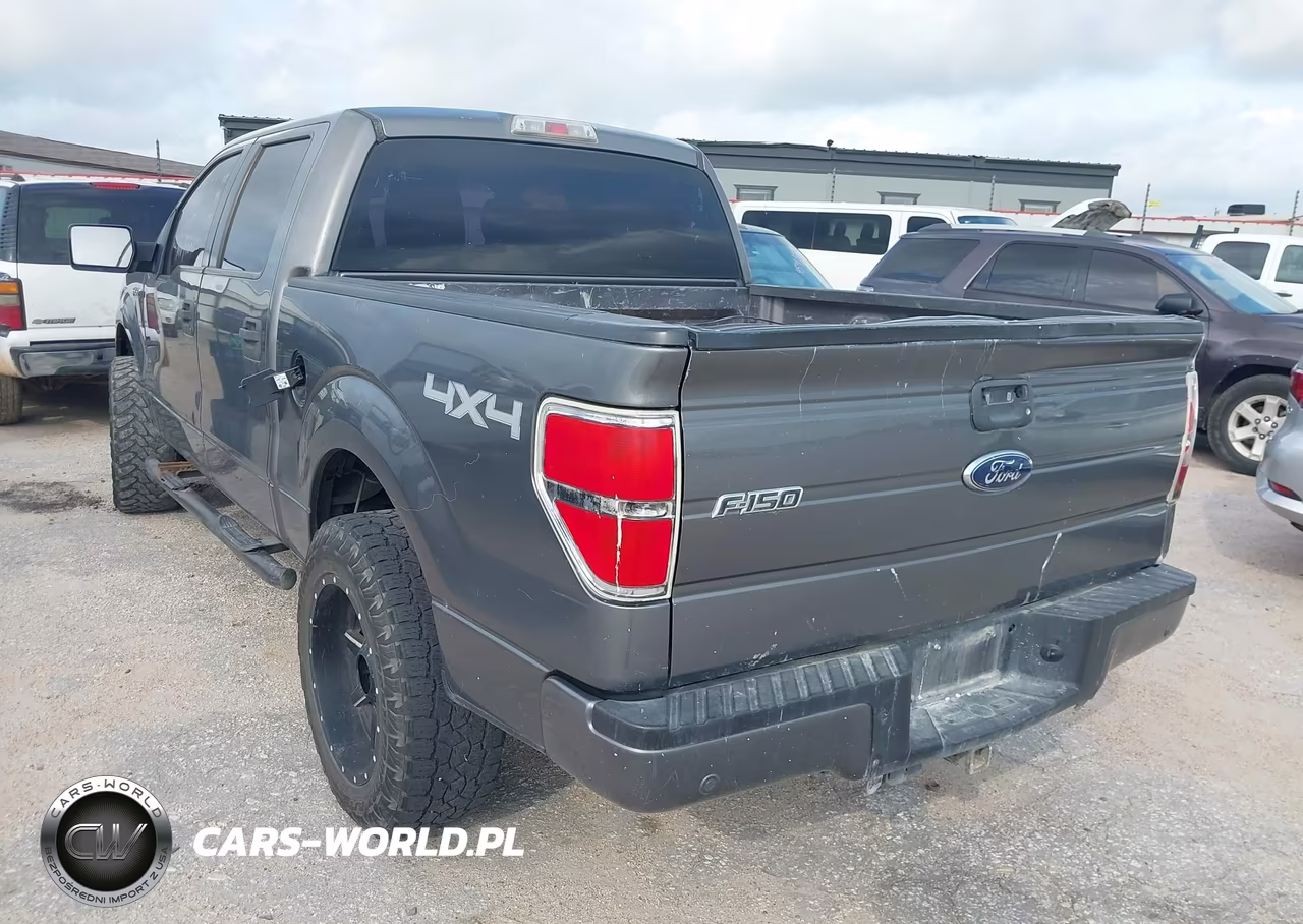 2010 Ford F-150 Xl-Xlt VIN:1FTEW1E80AFD42751 - 3