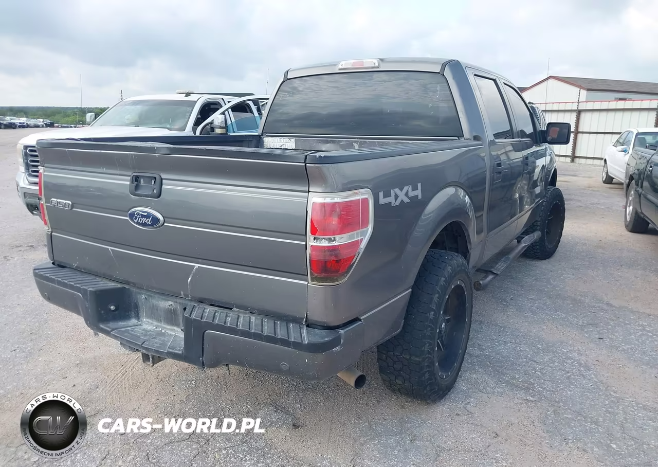 2010 Ford F-150 Xl-Xlt VIN:1FTEW1E80AFD42751 - 4