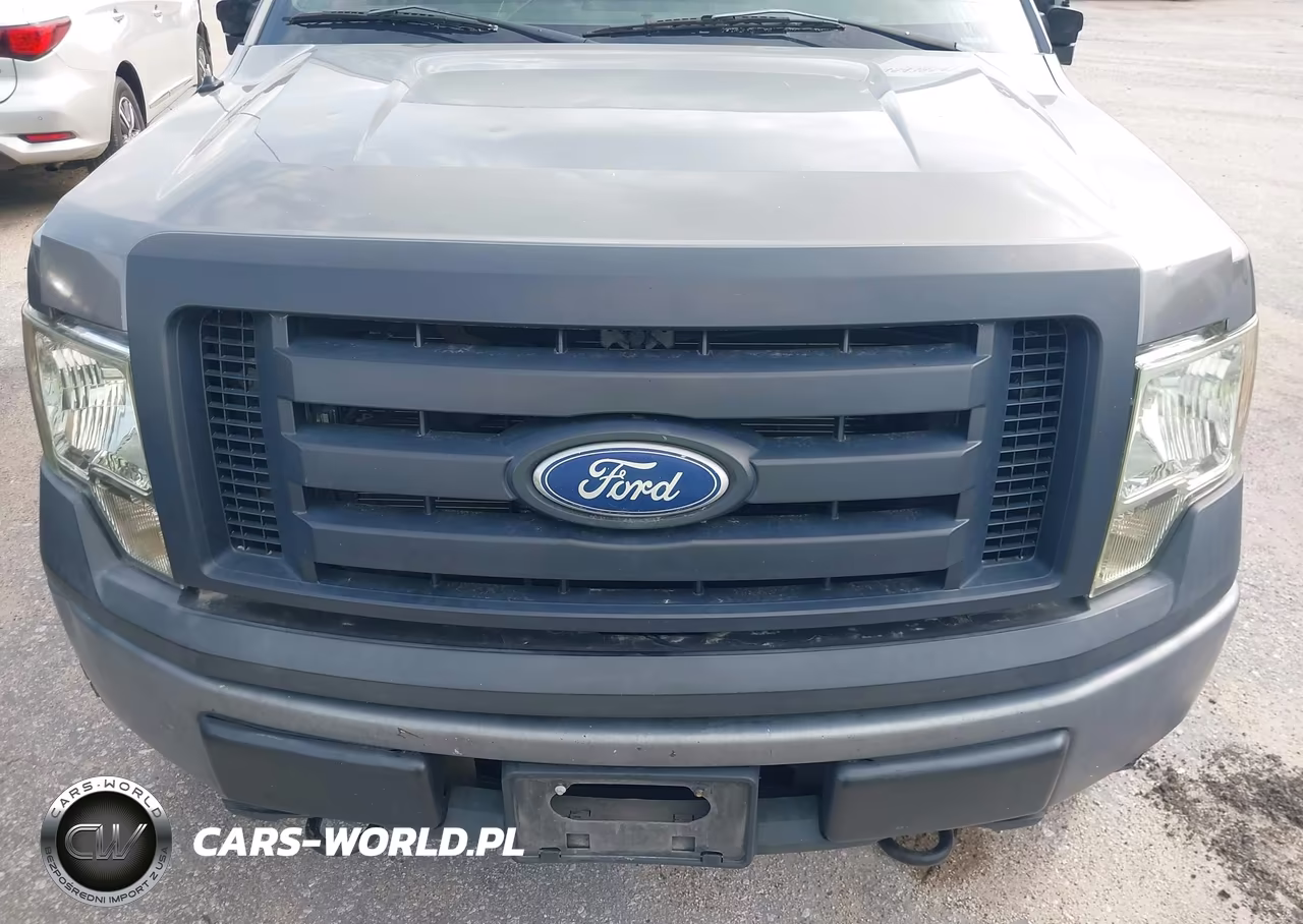 2010 Ford F-150 Xl-Xlt VIN:1FTEW1E80AFD42751 - 6