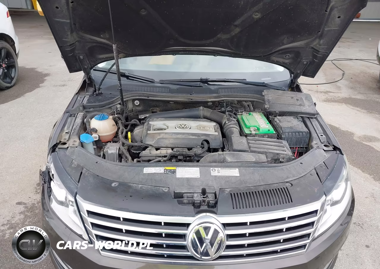 2015 Volkswagen Cc 2.0T Executive VIN:WVWRN7AN1FE811376 - 10