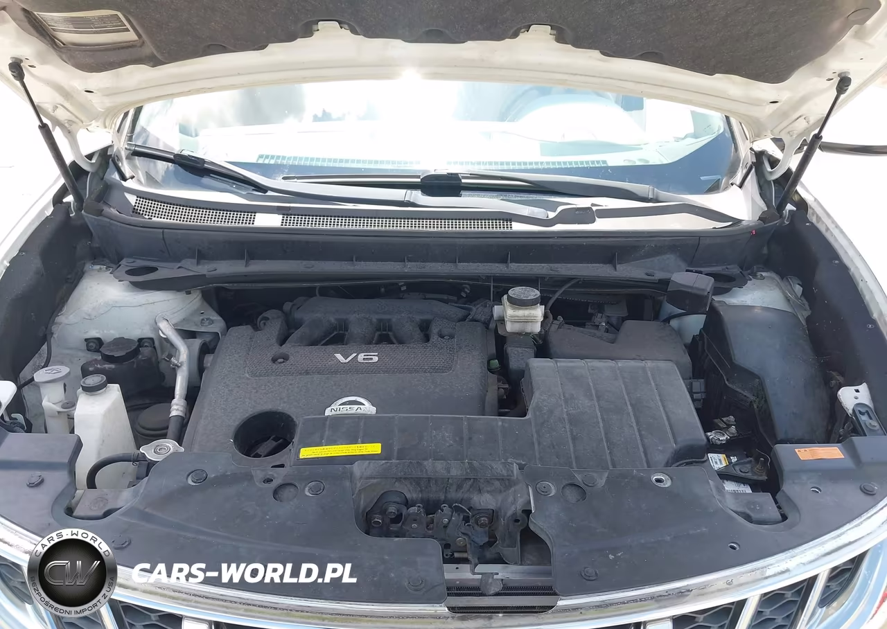 2011 Nissan Murano Crosscabriolet VIN:JN8AZ1FYXBW002694 - 10