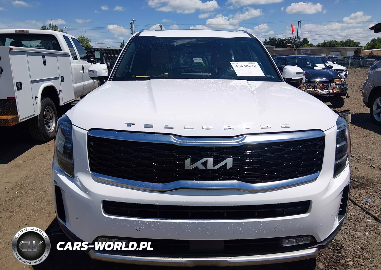 2022 Kia Telluride Sx VIN:5XYP54HCXNG251311 - 13