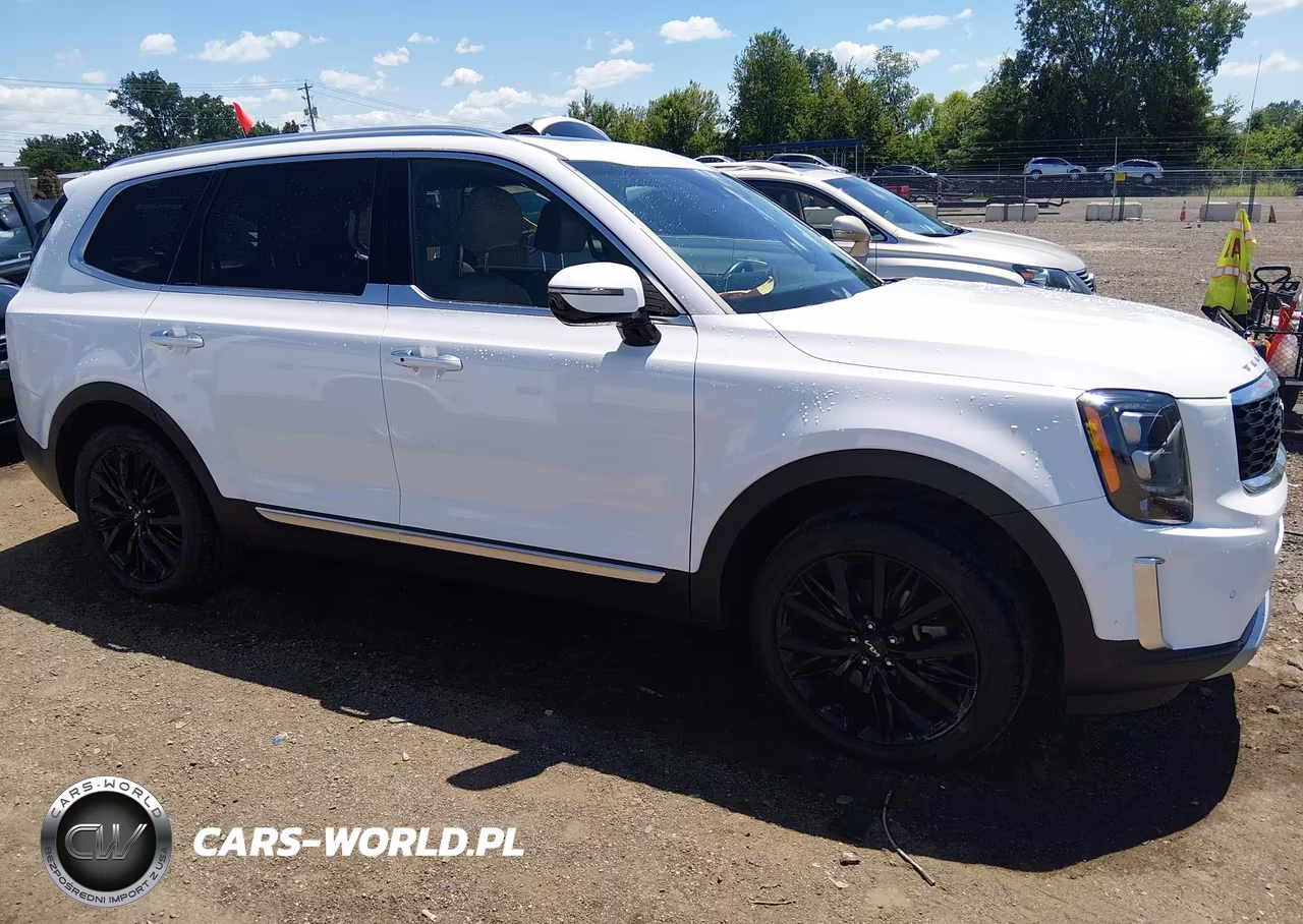 2022 Kia Telluride Sx VIN:5XYP54HCXNG251311 - 14