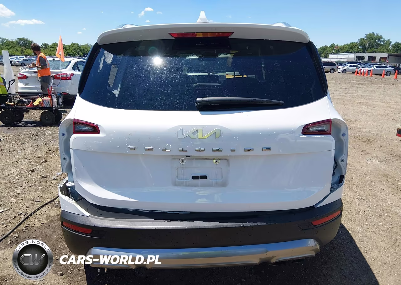 2022 Kia Telluride Sx VIN:5XYP54HCXNG251311 - 17