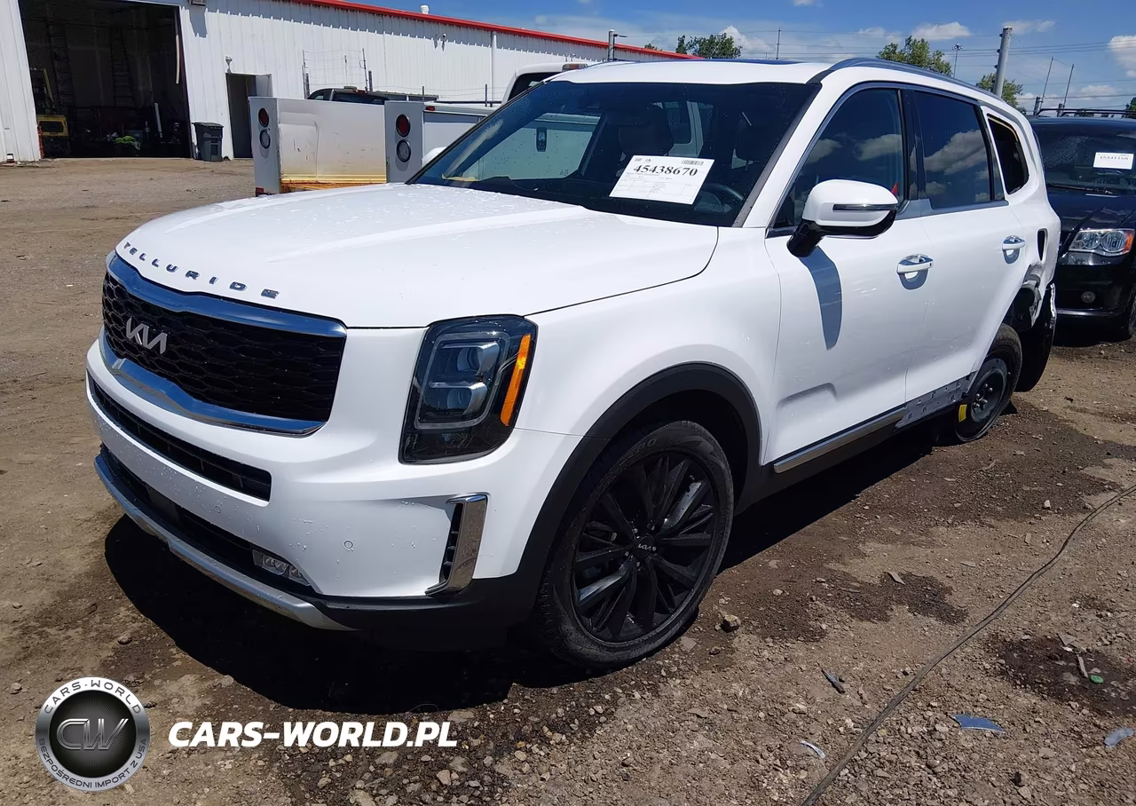 2022 Kia Telluride Sx VIN:5XYP54HCXNG251311 - 2