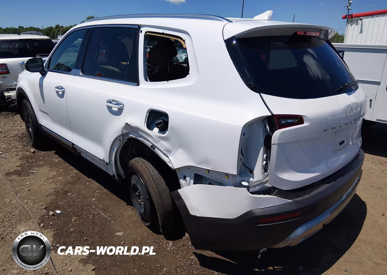 2022 Kia Telluride Sx VIN:5XYP54HCXNG251311 - 3