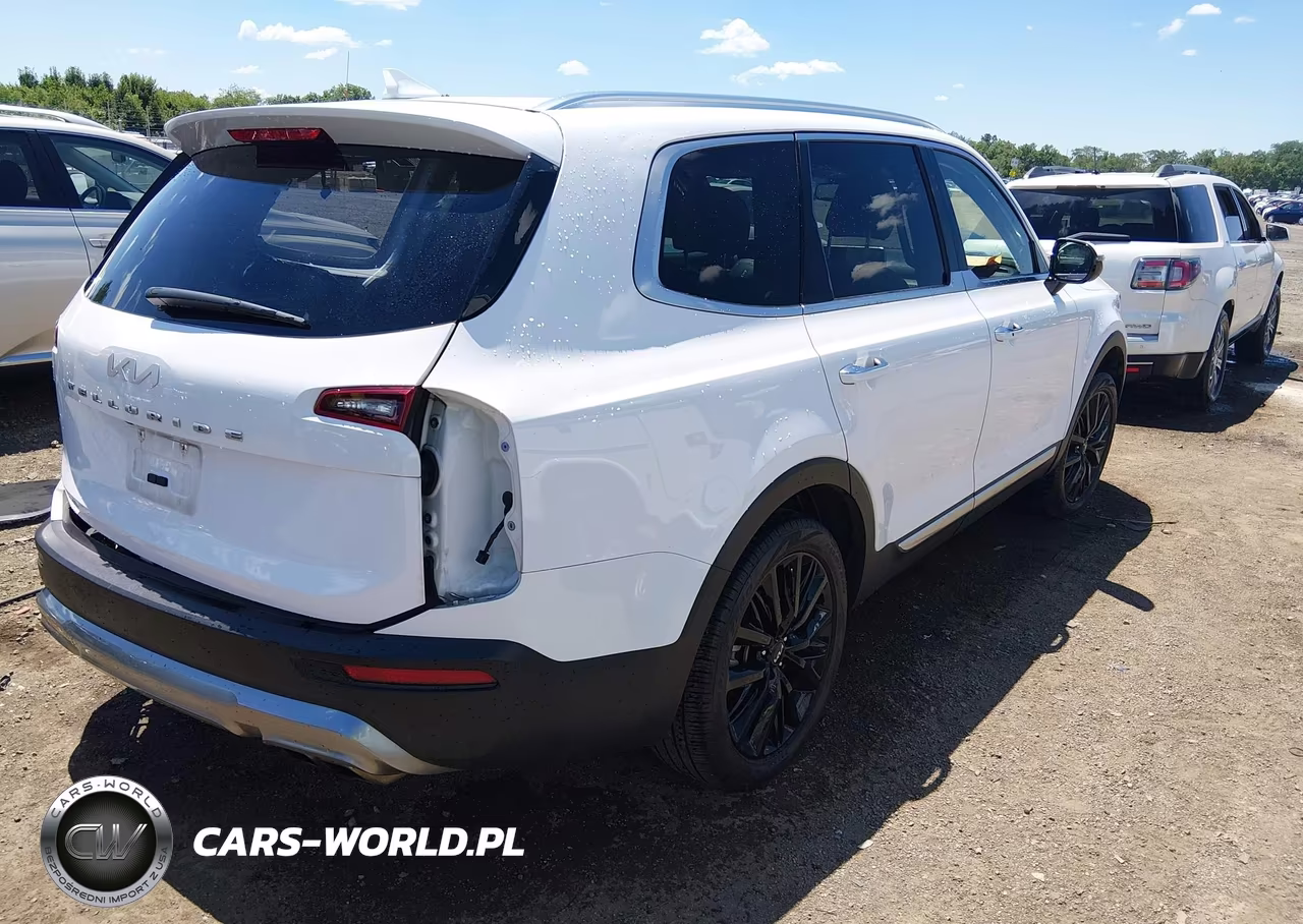 2022 Kia Telluride Sx VIN:5XYP54HCXNG251311 - 4