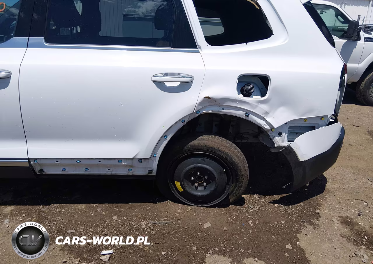 2022 Kia Telluride Sx VIN:5XYP54HCXNG251311 - 6