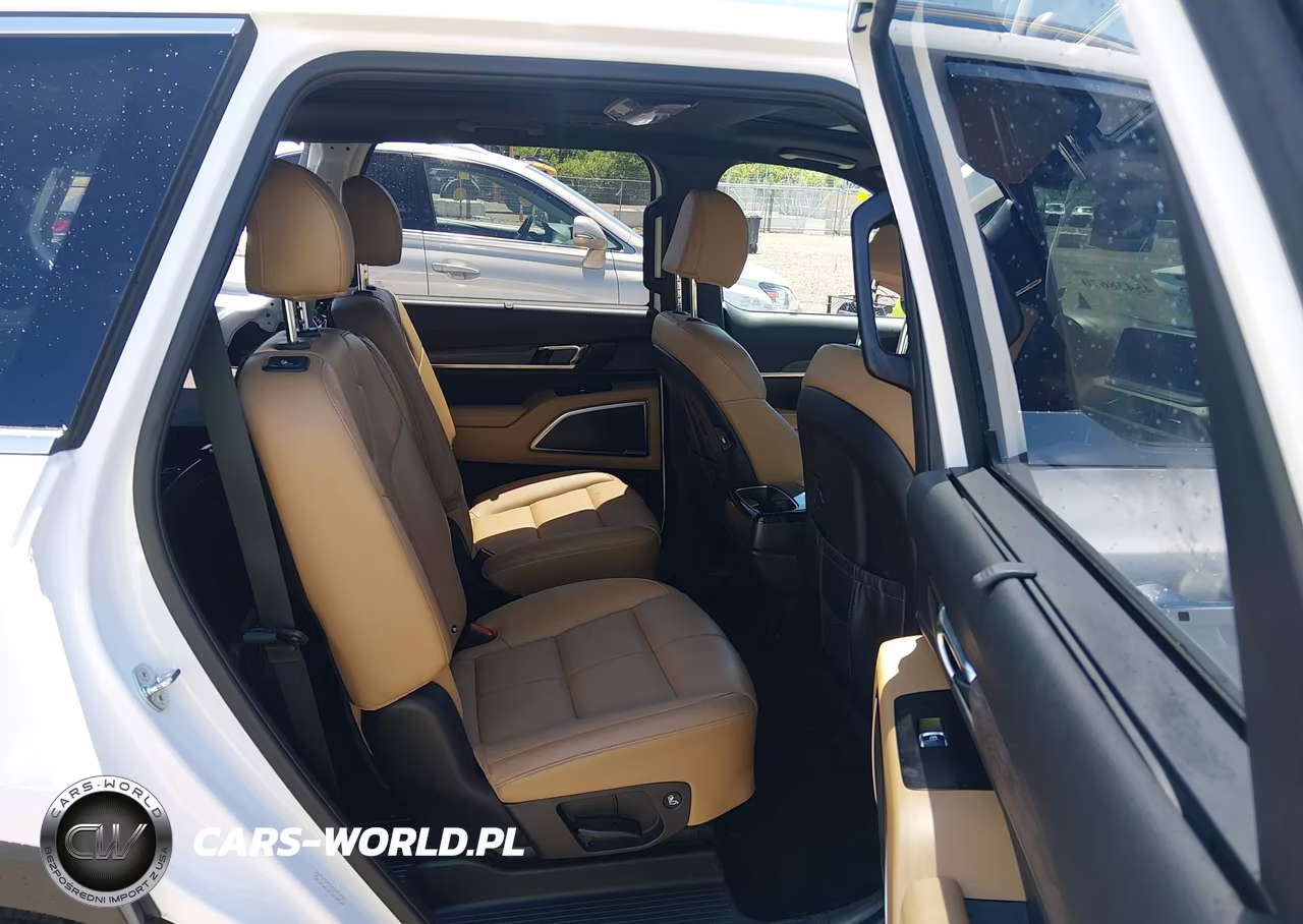 2022 Kia Telluride Sx VIN:5XYP54HCXNG251311 - 8
