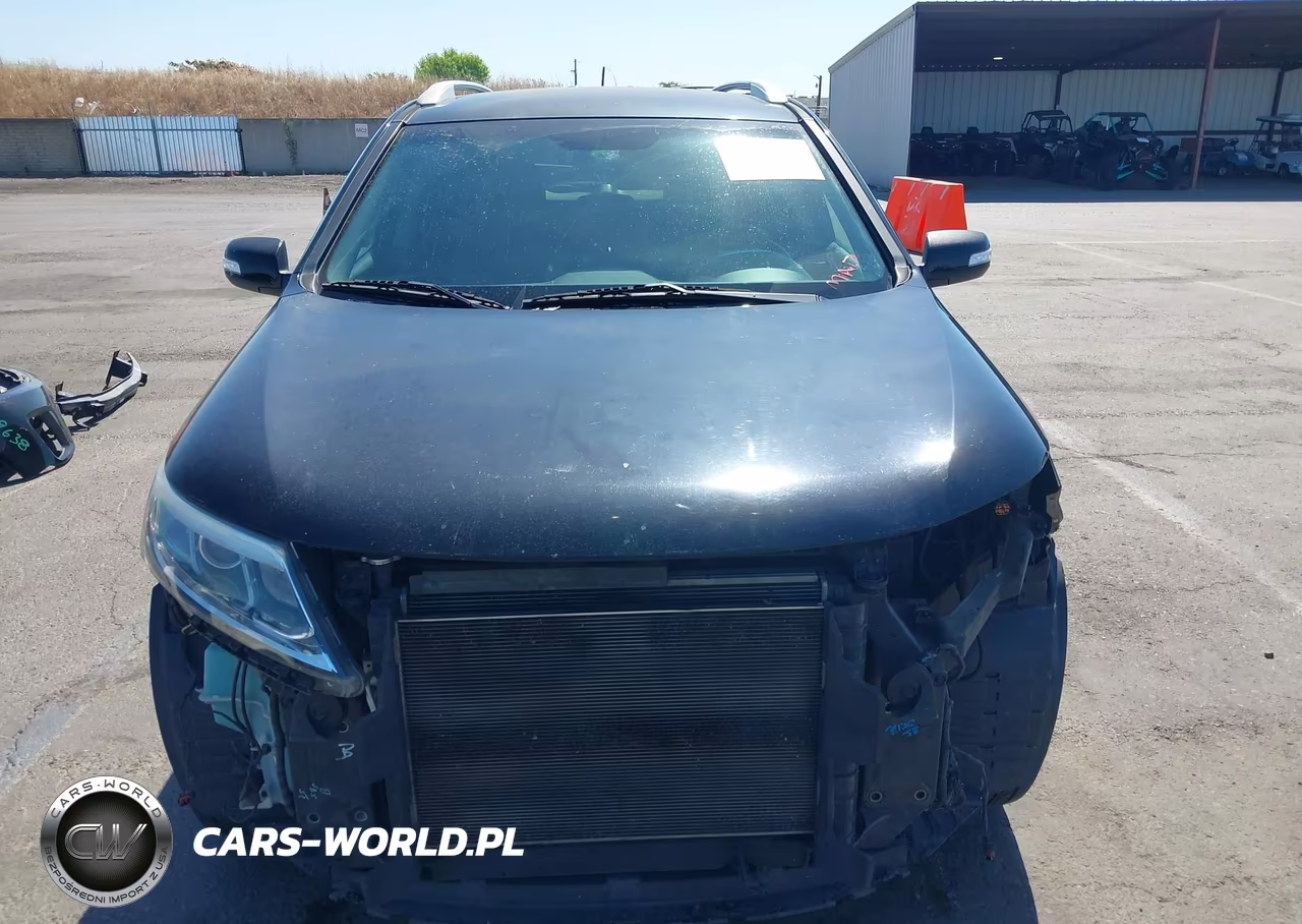 2014 Kia Sorento Lx VIN:5XYKT3A62EG441134 - 12