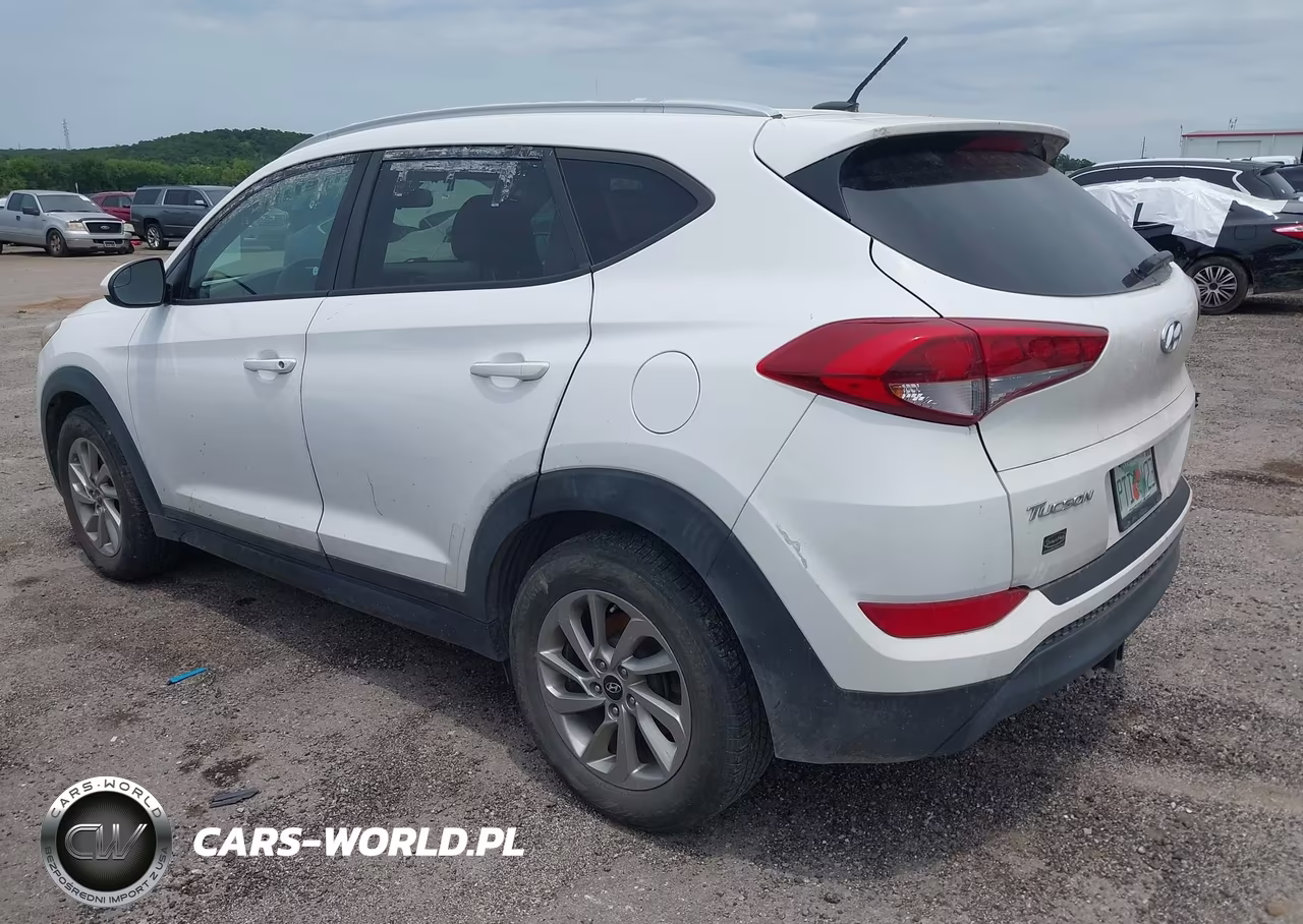 2016 Hyundai Tucson Se VIN:KM8J33A47GU226985 - 3
