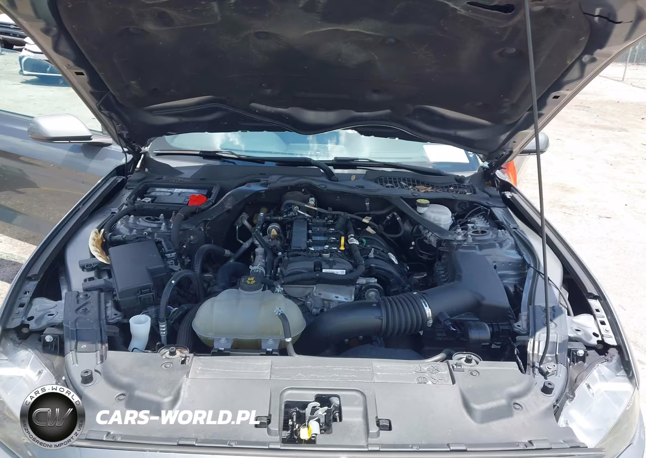 2021 Ford Mustang Ecoboost -Ecoboost Premium VIN:1FATP8UH6M5105258 - 10