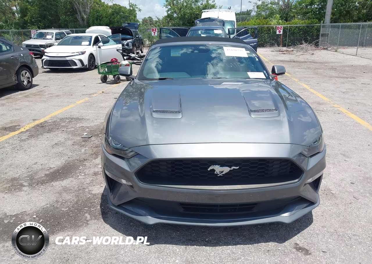 2021 Ford Mustang Ecoboost -Ecoboost Premium VIN:1FATP8UH6M5105258 - 12