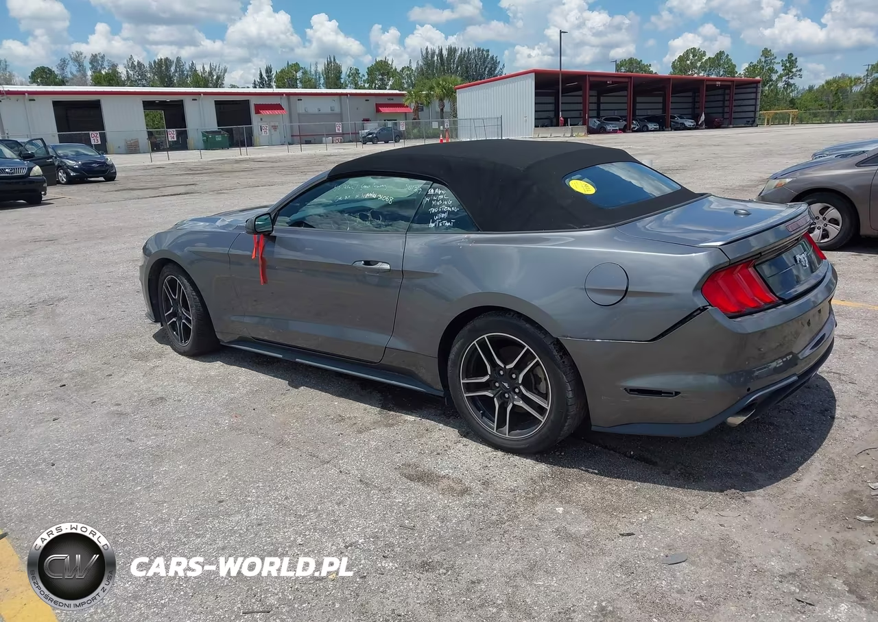2021 Ford Mustang Ecoboost -Ecoboost Premium VIN:1FATP8UH6M5105258 - 3