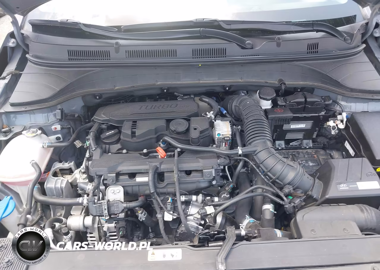 2023 Hyundai Kona Limited VIN:KM8K5CA35PU008260 - 10