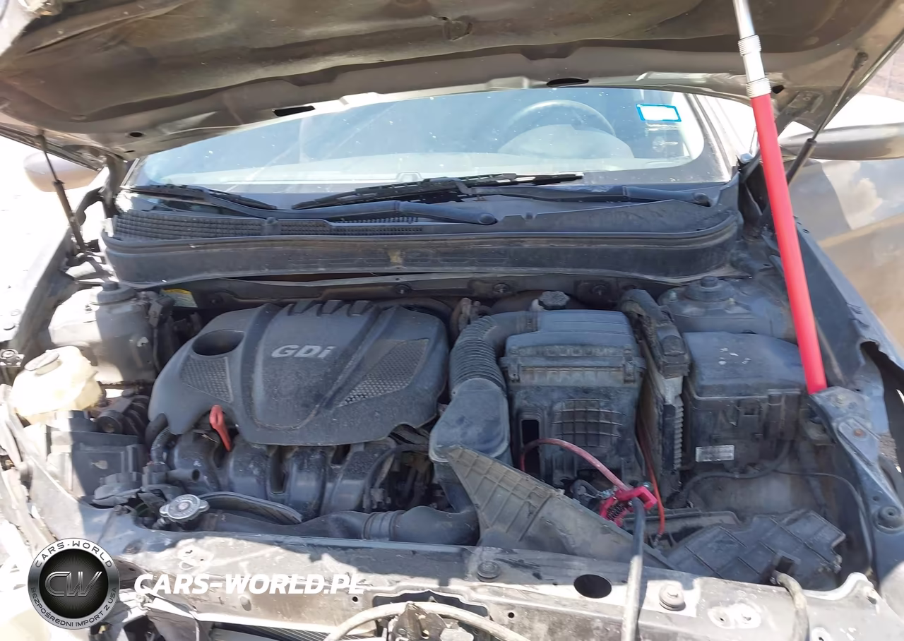 2011 Hyundai Sonata Gls VIN:5NPEB4AC3BH193007 - 10