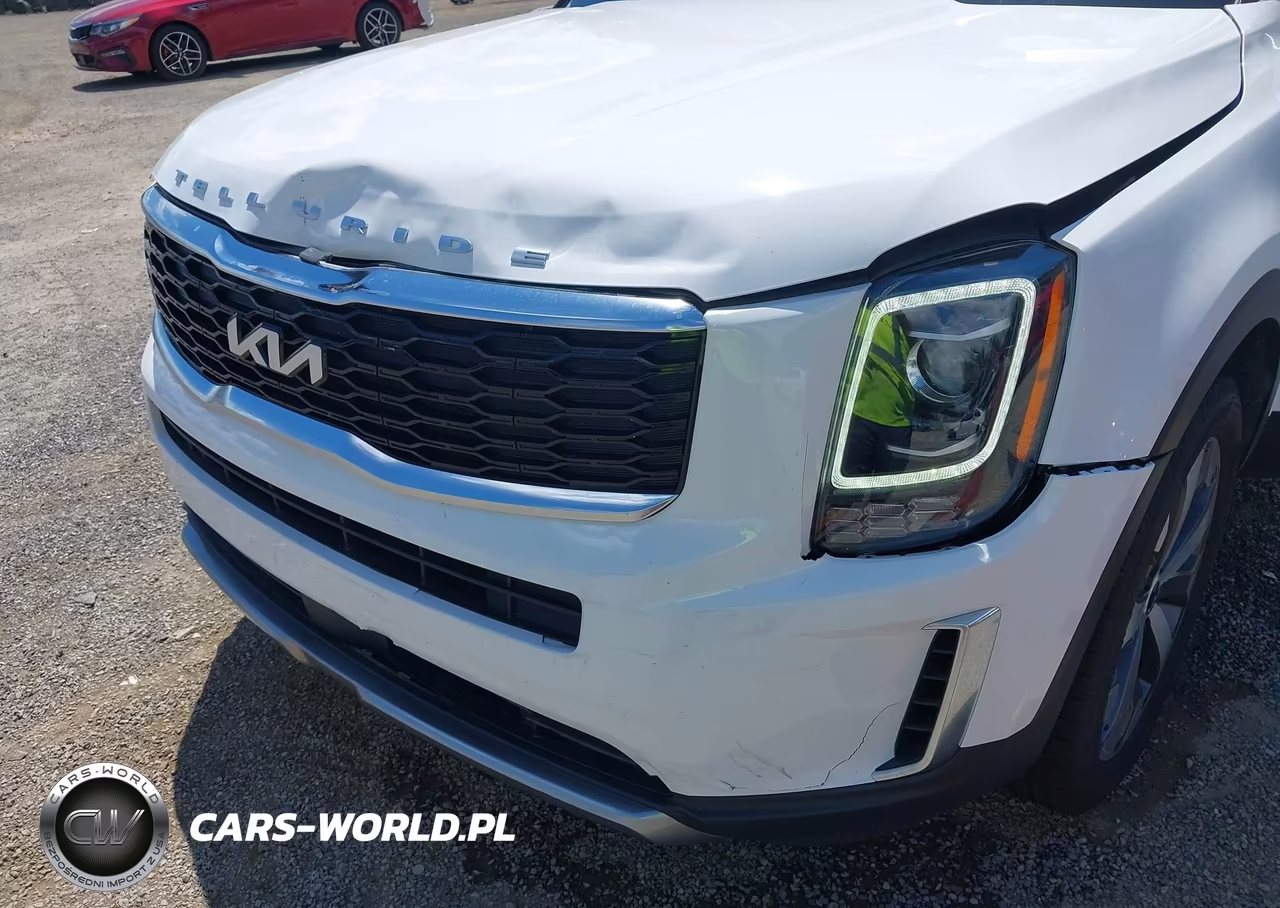 2022 Kia Telluride S VIN:5XYP64HC3NG245864 - 6