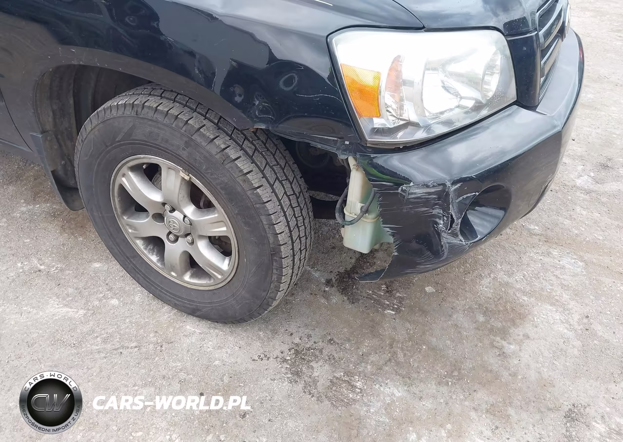 2004 Toyota Highlander V6 VIN:JTEGP21A440039365 - 6