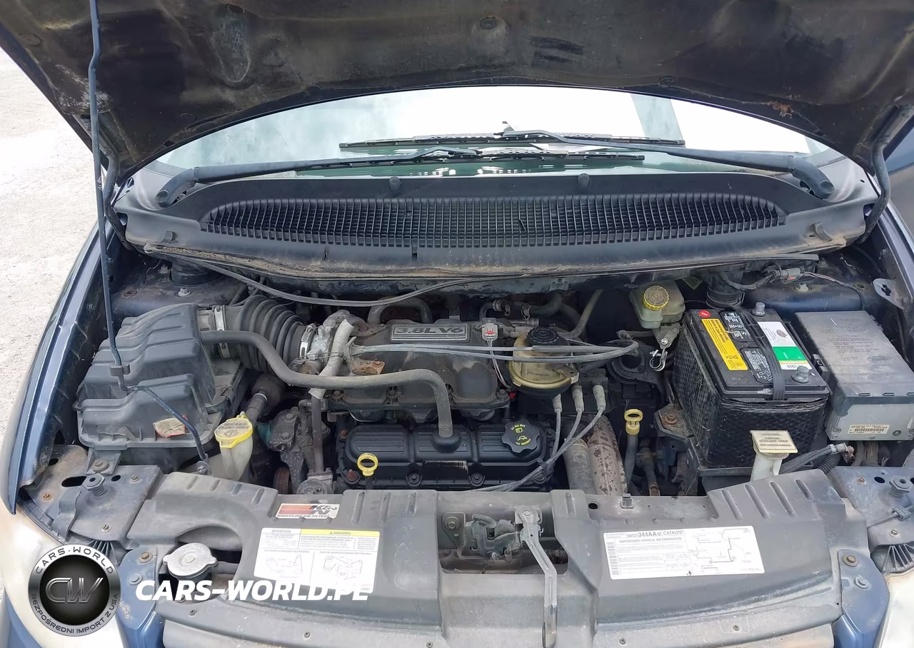 2005 Dodge Caravan Sxt VIN:2D4GP44L25R316179 - 10