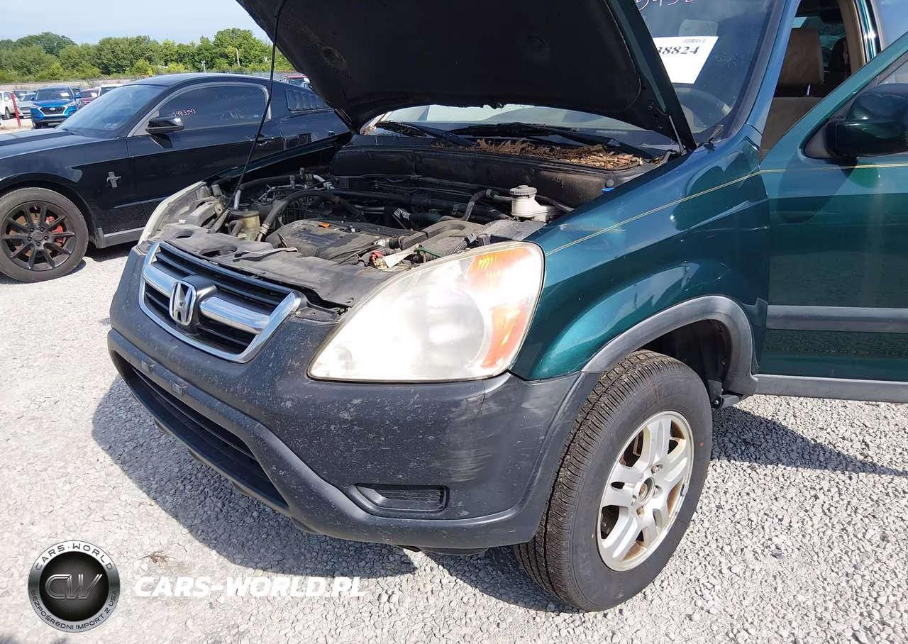 2004 Honda Cr-V Ex VIN:SHSRD78854U214853 - 6