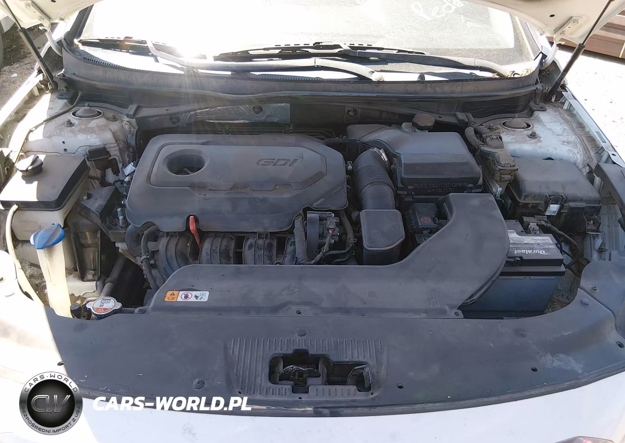 2016 Hyundai Sonata Se VIN:5NPE24AF0GH373630 - 10