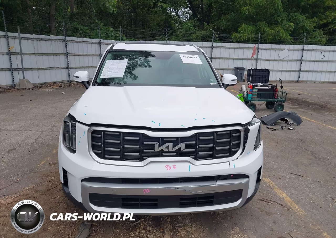 2025 Kia Telluride S VIN:5XYP64GC9SG668817 - 12