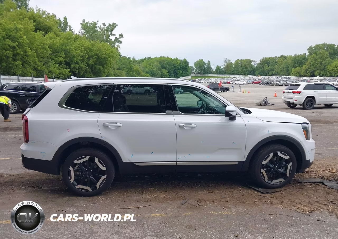 2025 Kia Telluride S VIN:5XYP64GC9SG668817 - 13