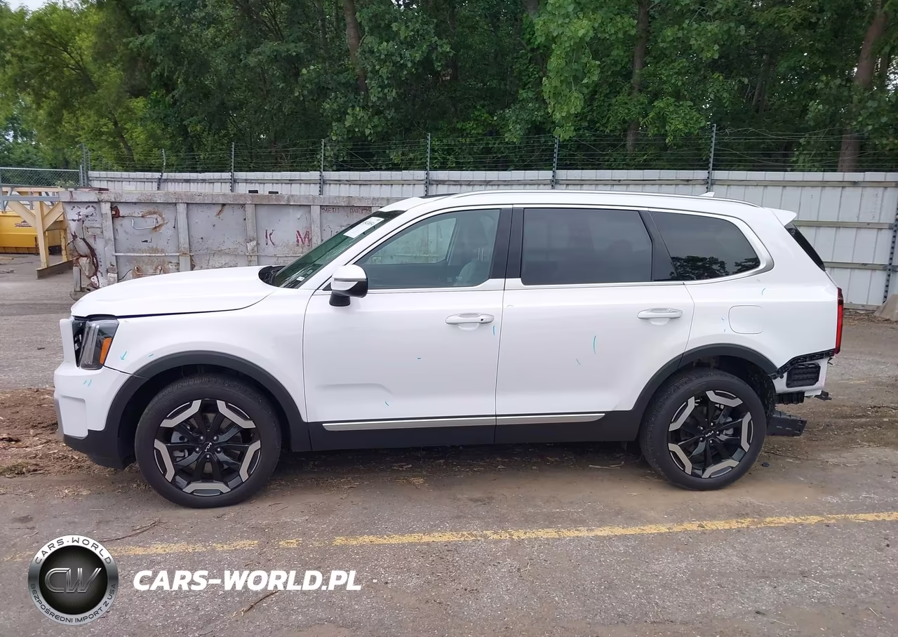2025 Kia Telluride S VIN:5XYP64GC9SG668817 - 14