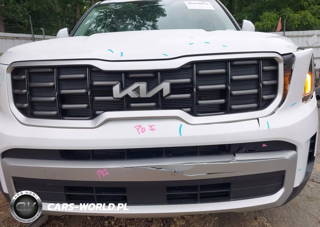 2025 Kia Telluride S VIN:5XYP64GC9SG668817 - 17