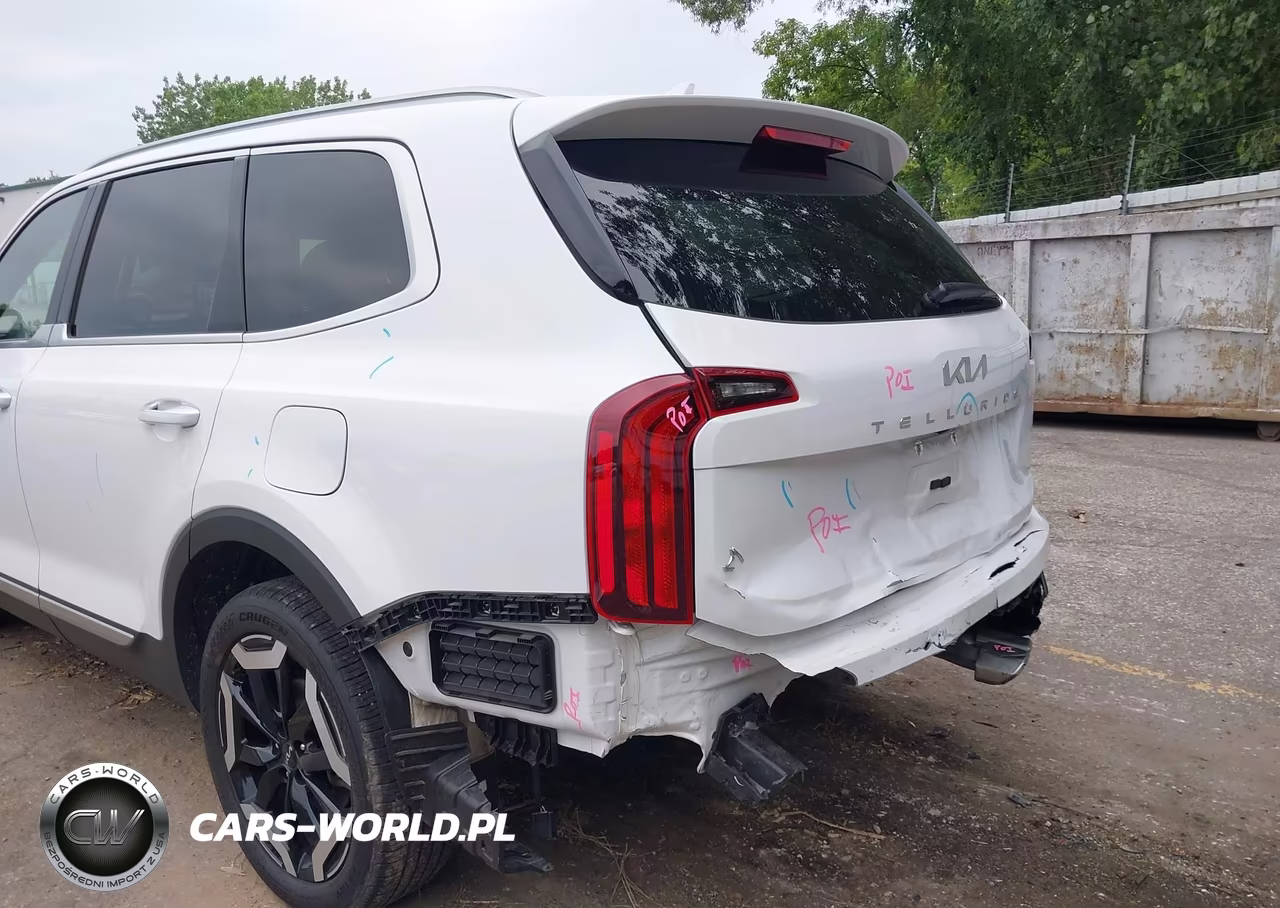 2025 Kia Telluride S VIN:5XYP64GC9SG668817 - 19