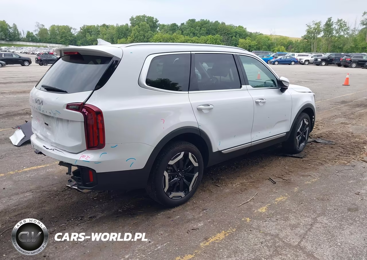 2025 Kia Telluride S VIN:5XYP64GC9SG668817 - 4