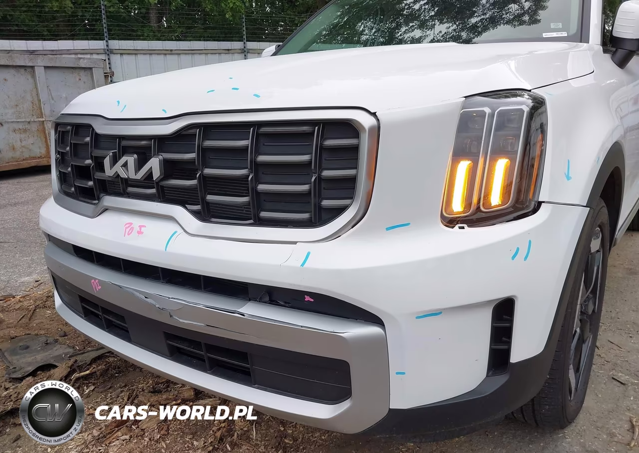 2025 Kia Telluride S VIN:5XYP64GC9SG668817 - 6