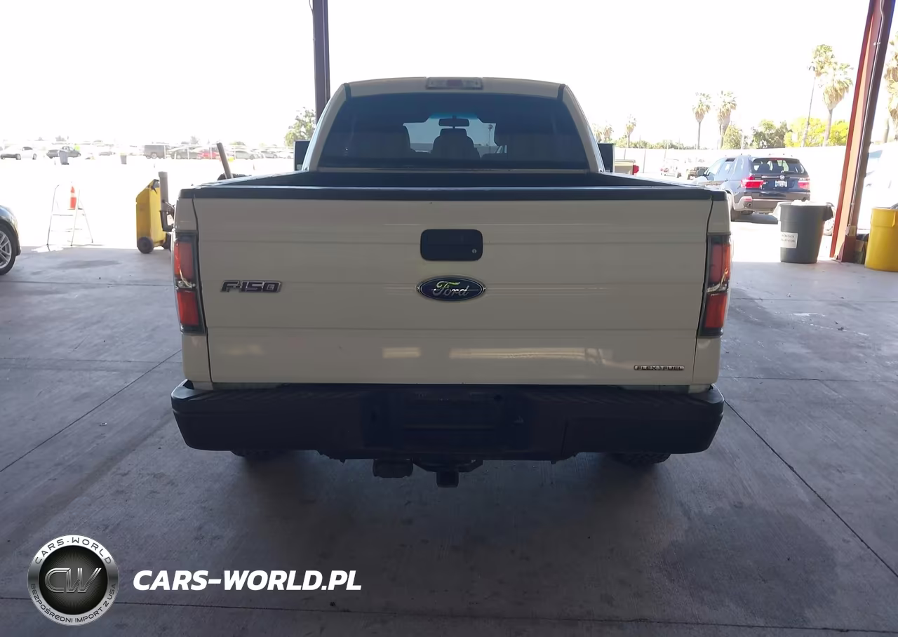 2012 Ford F-150 Xl VIN:1FTFX1EF0CFC22760 - 16
