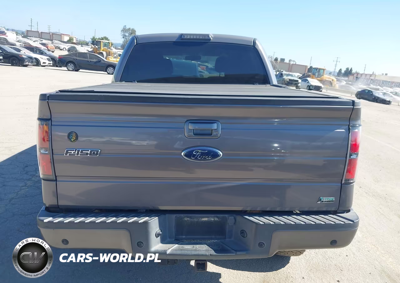 2010 Ford F-150 Fx2 Sport-Harley-Davidson-King Ranch-Lariat-Platinum-Xl-Xlt VIN:1FTFW1CV7AKC53893 - 16