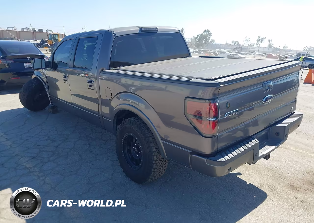 2010 Ford F-150 Fx2 Sport-Harley-Davidson-King Ranch-Lariat-Platinum-Xl-Xlt VIN:1FTFW1CV7AKC53893 - 3