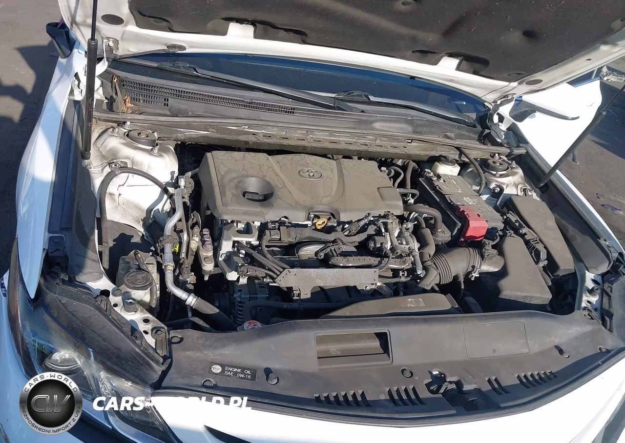 2019 Toyota Camry Se VIN:4T1B11HK0KU843995 - 10