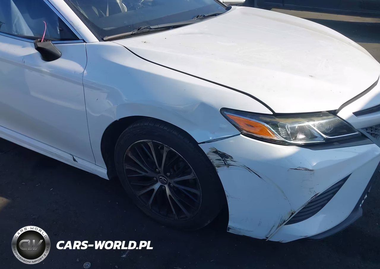 2019 Toyota Camry Se VIN:4T1B11HK0KU843995 - 12