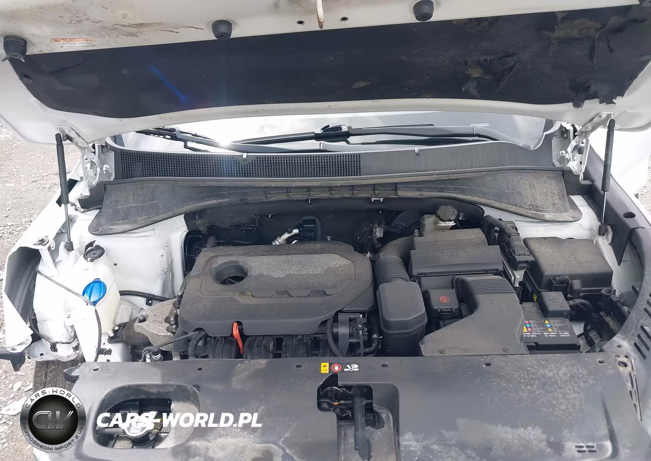 2020 Kia Sorento 2.4L Lx VIN:5XYPGDA31LG696327 - 10
