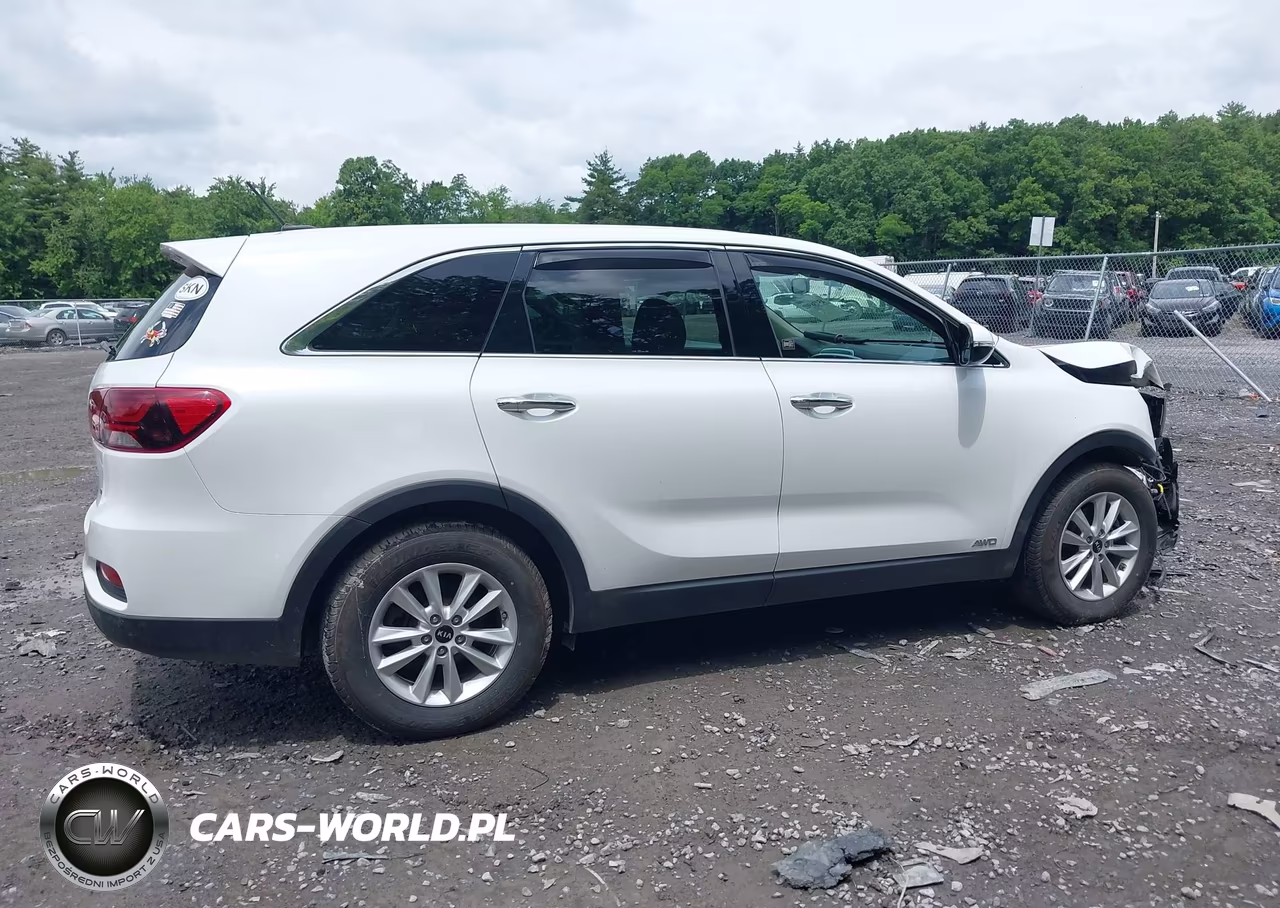 2020 Kia Sorento 2.4L Lx VIN:5XYPGDA31LG696327 - 13