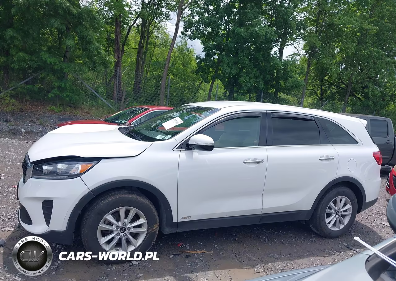 2020 Kia Sorento 2.4L Lx VIN:5XYPGDA31LG696327 - 14