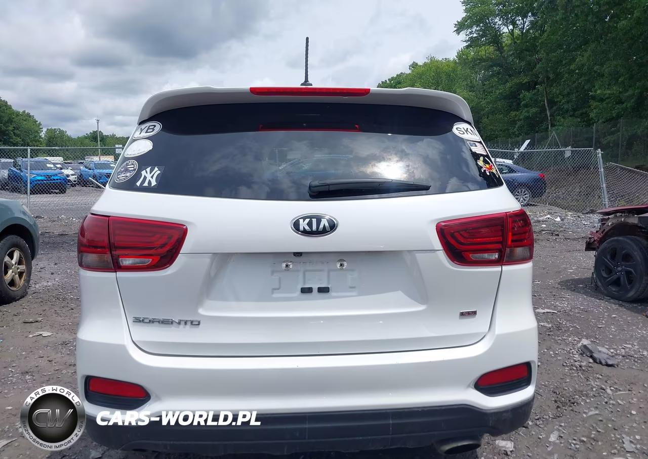 2020 Kia Sorento 2.4L Lx VIN:5XYPGDA31LG696327 - 16
