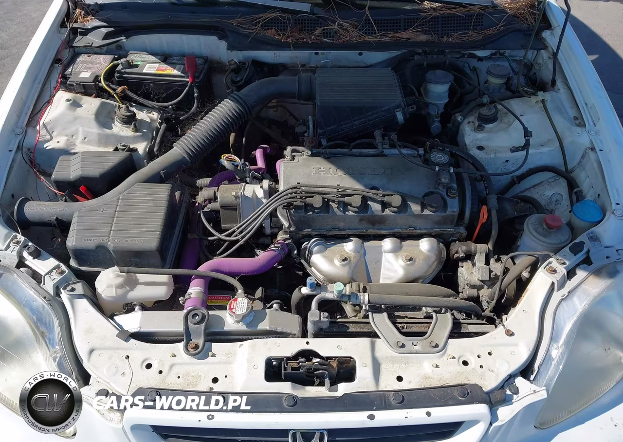 1998 Honda Civic Dx VIN:1HGEJ6126WL076434 - 10