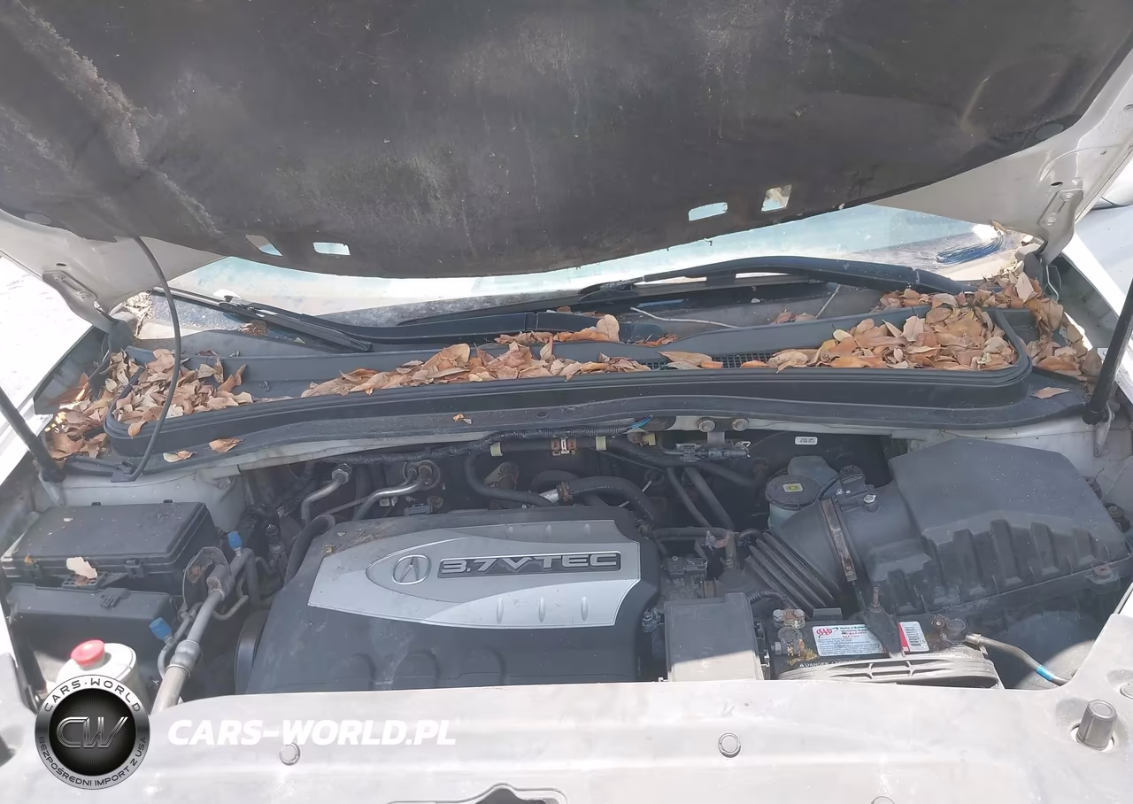 2008 Acura Mdx Technology Package VIN:2HNYD28418H532563 - 10