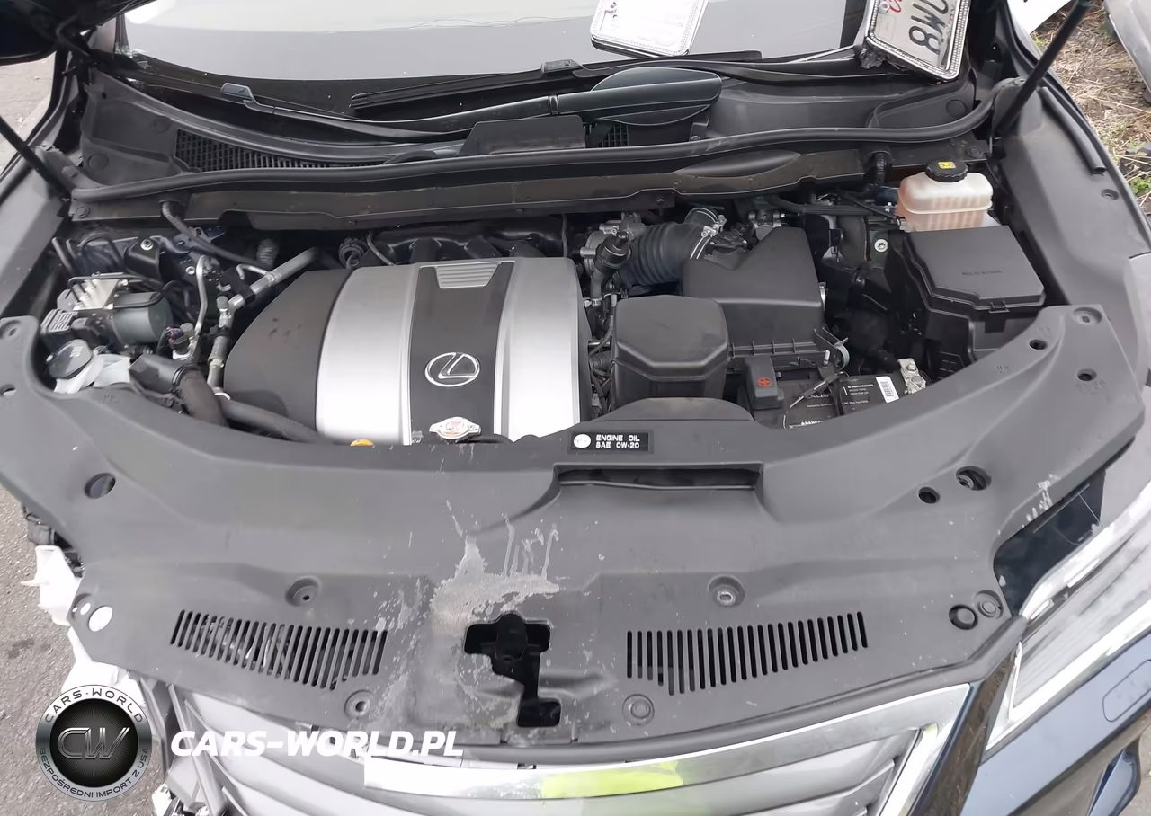 2019 Lexus Rx 350L Luxury VIN:JTJDZKCA3K2020335 - 10