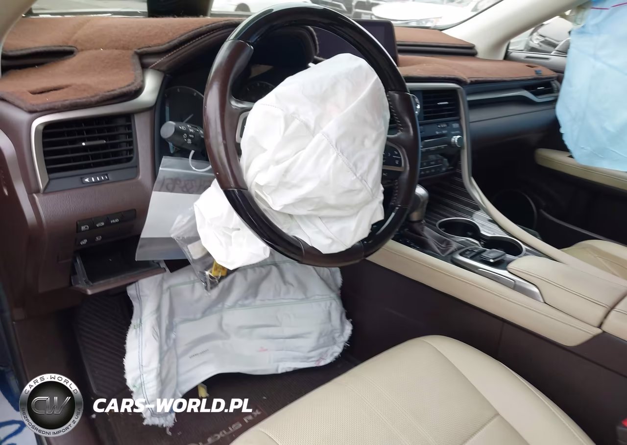 2019 Lexus Rx 350L Luxury VIN:JTJDZKCA3K2020335 - 20