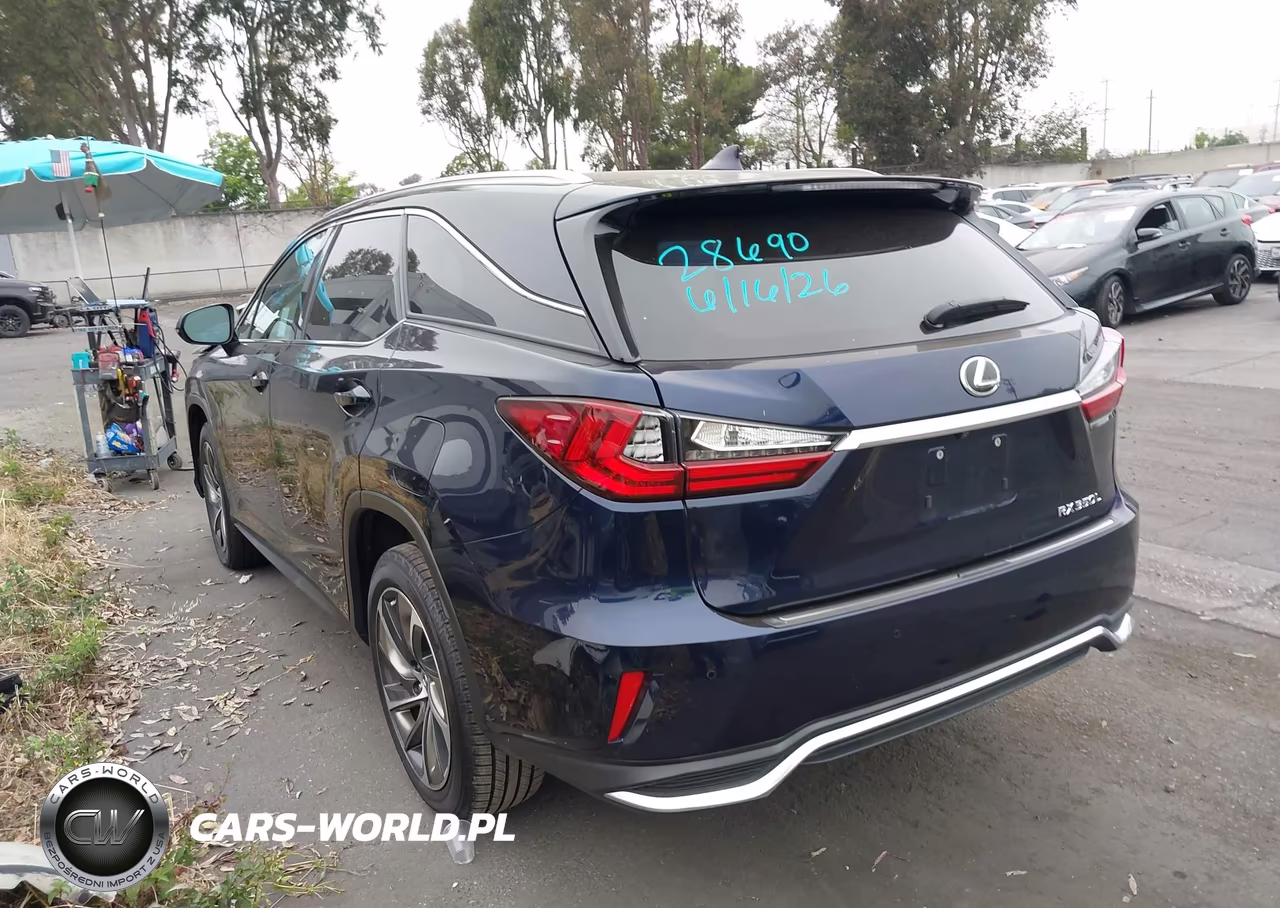 2019 Lexus Rx 350L Luxury VIN:JTJDZKCA3K2020335 - 3