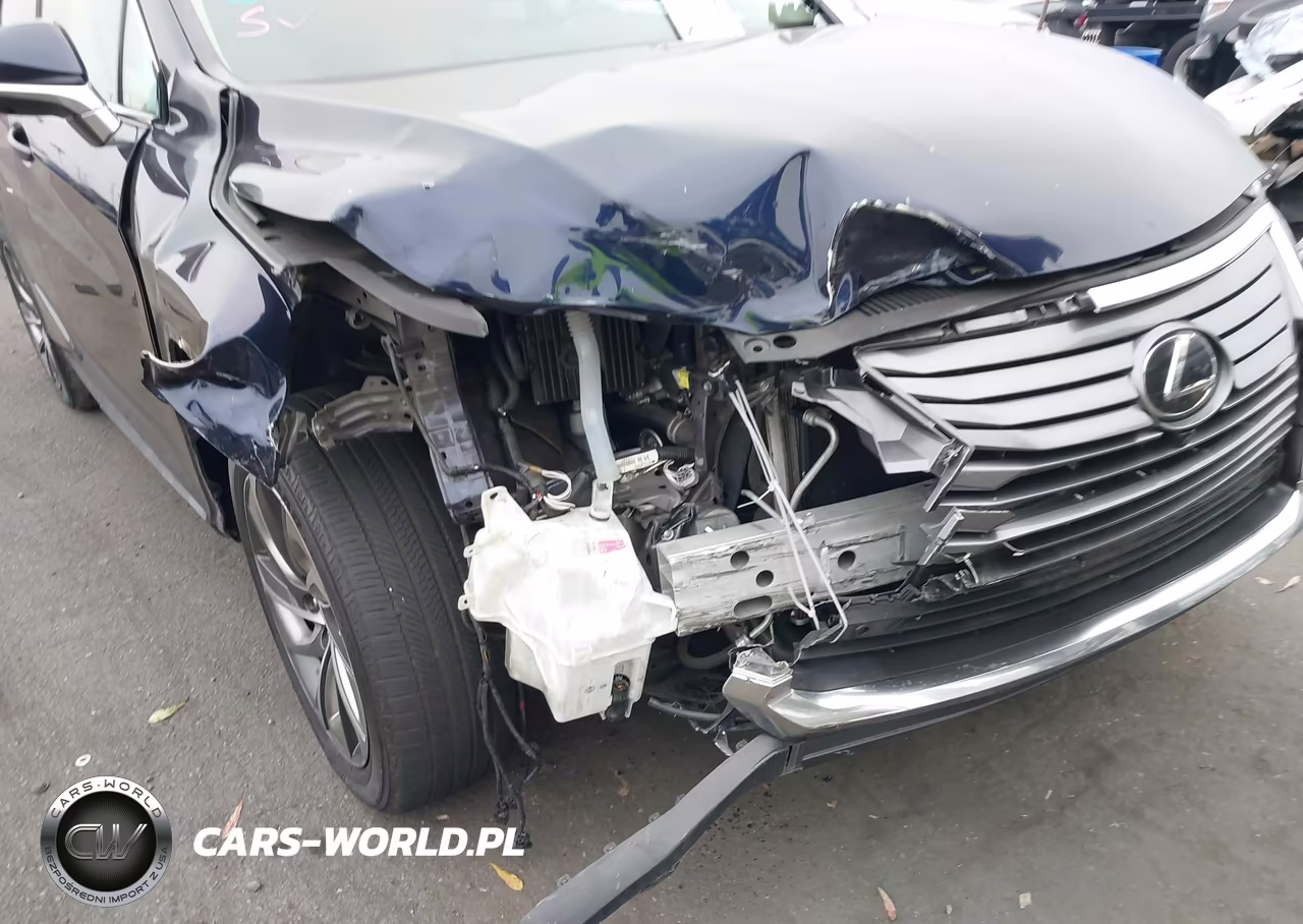 2019 Lexus Rx 350L Luxury VIN:JTJDZKCA3K2020335 - 6