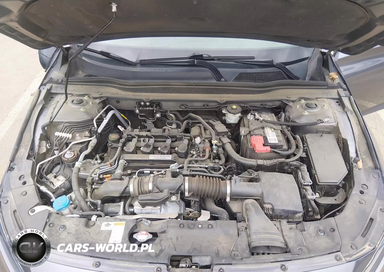 2019 Honda Accord Lx VIN:1HGCV1F13KA135346 - 10