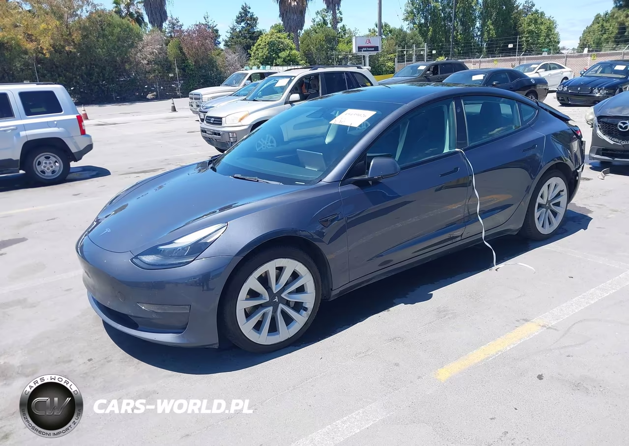 2022 Tesla Model 3 Rear-Wheel Drive VIN:5YJ3E1EA9NF295145 - 2