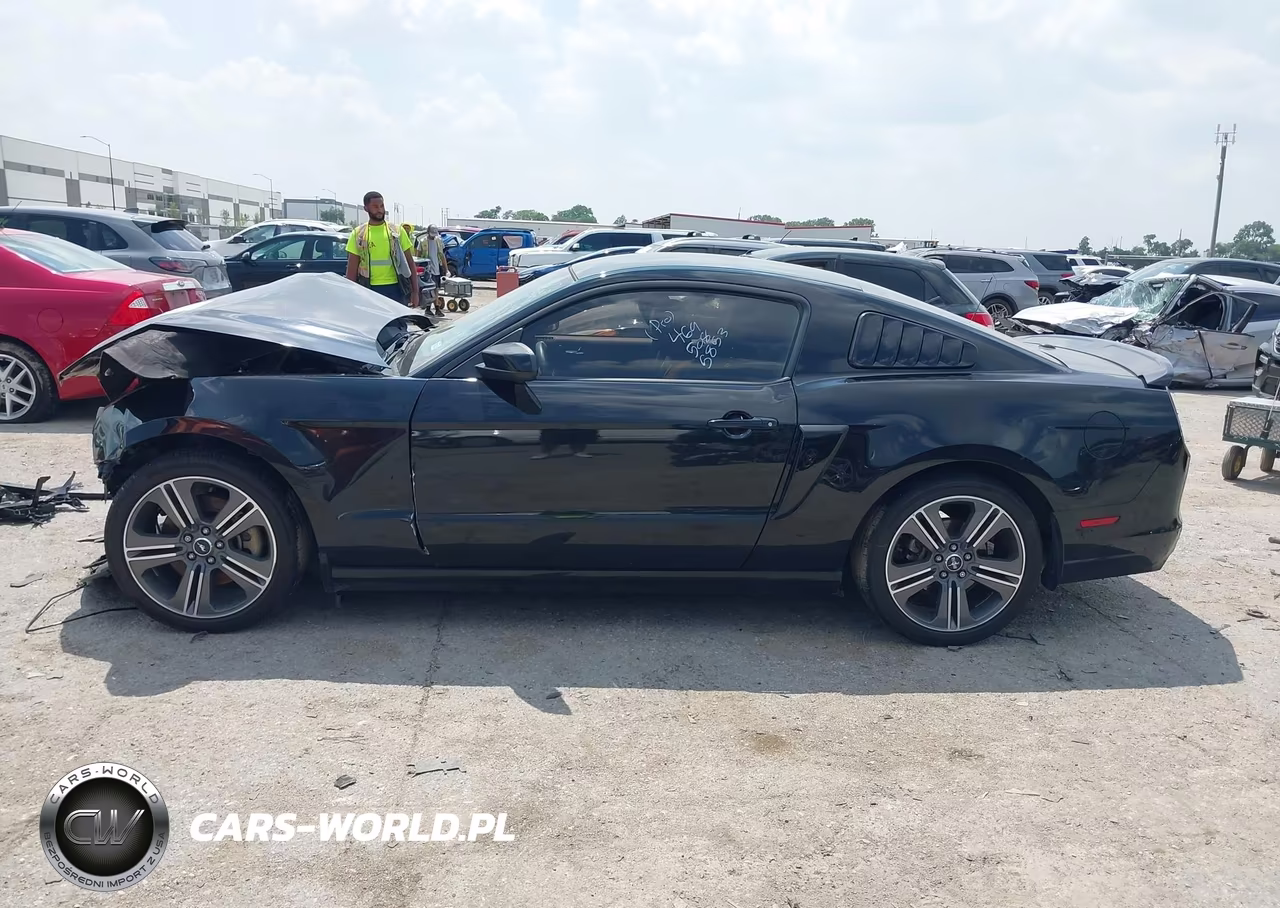2014 Ford Mustang V6-V6 Premium VIN:1ZVBP8AM0E5315943 - 15